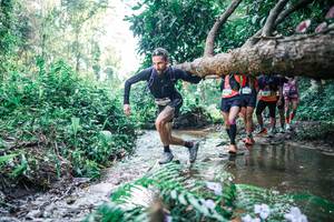 BIB: 
                            <button type="button" onclick="openModal(25446042)" class="btn btn-primary btn-sm float-right btn-popup" data-toggle="modal" data-target=".modal-high-quality">
                        <i class="fas fa-shopping-cart"></i> Add to Cart
                    </button>
                                            <button type="button" onclick="isThisMe(25446042, true)" class="btn btn-success btn-sm float-right btn-popup btn-isme hidden" data-toggle="tooltip" data-placement="bottom" title="นี่คือรูปของคุณใช่ไหม คลิกที่นี่เพื่อเอาเข้าอัลบั้ม">
                        <i class="fas fa-plus"></i> Add to album
                    </button>
                    <button type="button" onclick="isThisMe(25446042, false)" class="btn btn-warning btn-sm float-right btn-popup btn-isnotme hidden">
                        <i class="fas fa-ban"></i> Remove from album
                    </button>